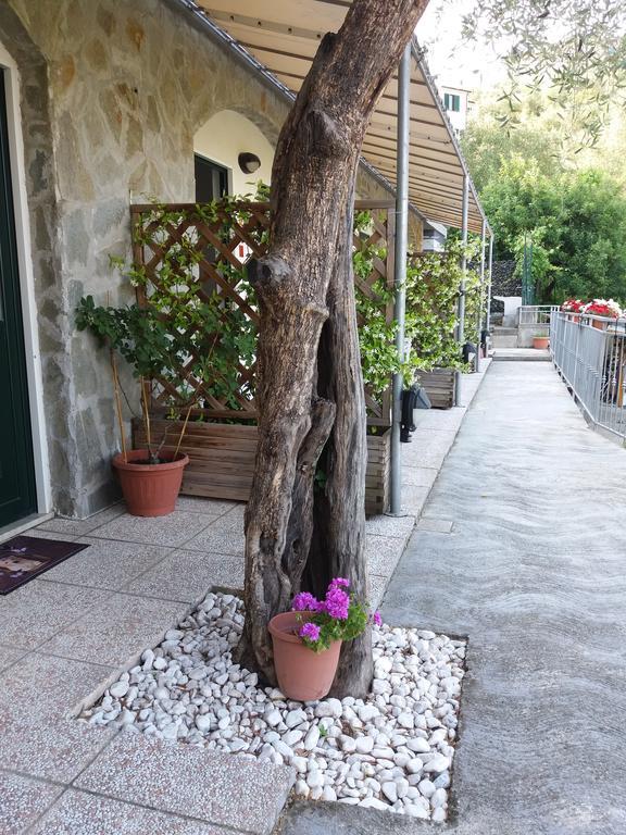 Affittacamere Arabafenice Vezzano Ligure Zewnętrze zdjęcie