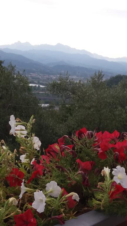 Affittacamere Arabafenice Vezzano Ligure Zewnętrze zdjęcie